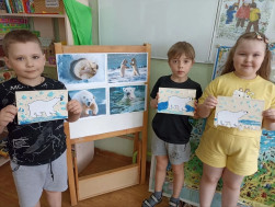 День полярного медедя.